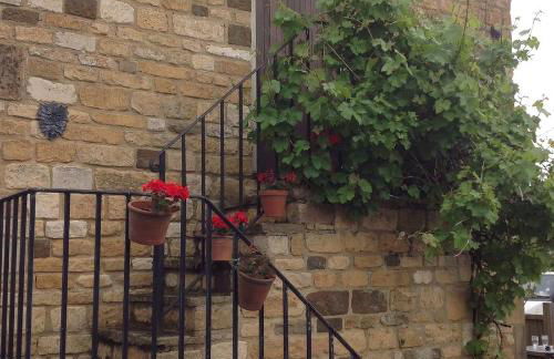 Hops and the Vines - Foto 3