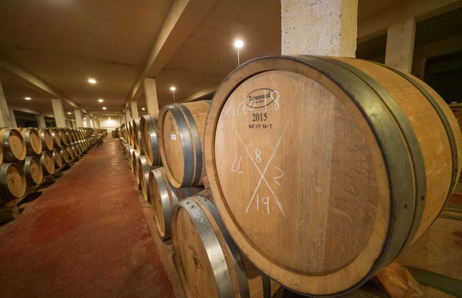 Visite du domaine Finca Torremilanos - Photo 4