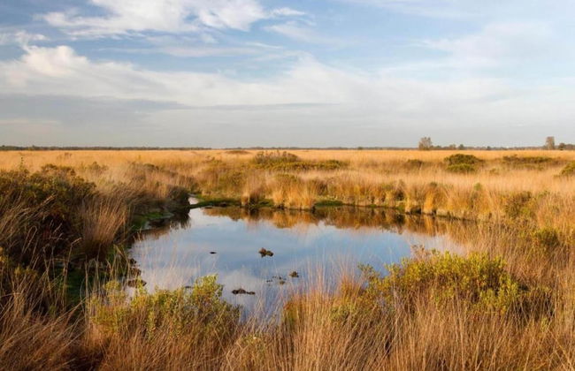 Holiday Home in Geesteren With Roof Terrace,garden Furniture - Photo 74
