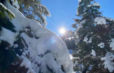 Villa Silvia - Photo 66