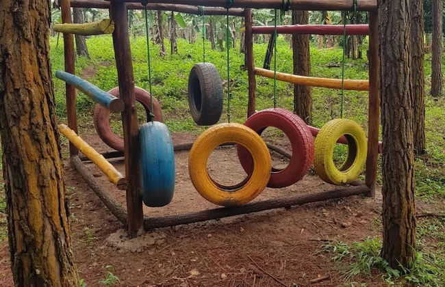 Nyungu Yamawe Forest Park - Foto 22