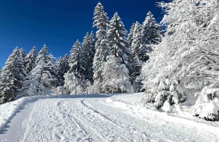 Ferienwohnungen Doro - Foto 60