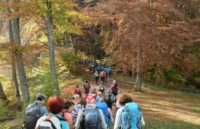 Relax and Nature Mountain Lake Iseo Hospitality - Photo 17