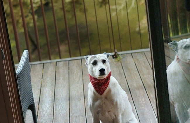 Mana Suites & Sea SPA - Photo 25