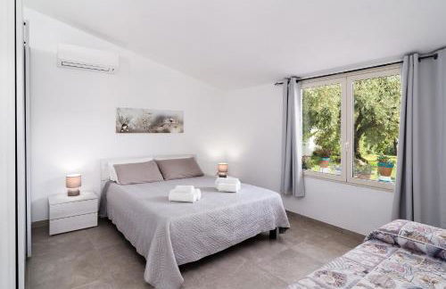 Domo Bonaeras - Foto 12