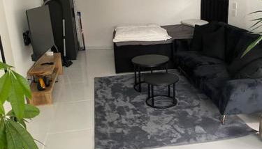 Stilvolle 1-Zimmer Wohnung mit Terasse nahe Therme und Prezero Arena - Foto 3