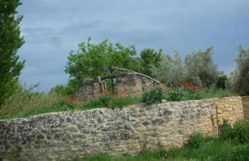 Hort de L'Aubert - Foto 10