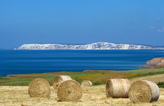 Chale Bay Farm - Photo 58