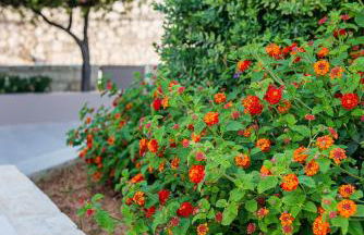 Hotel Stellina Village - Foto 26