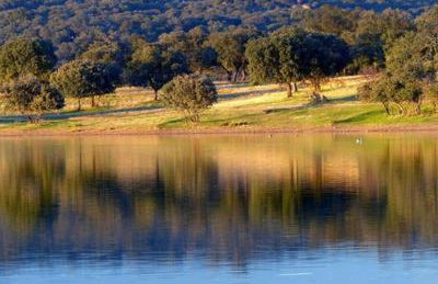 Casa Rural Tomillo - Foto 27