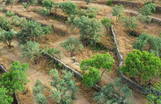 Green Island Resort Kea - Foto 33