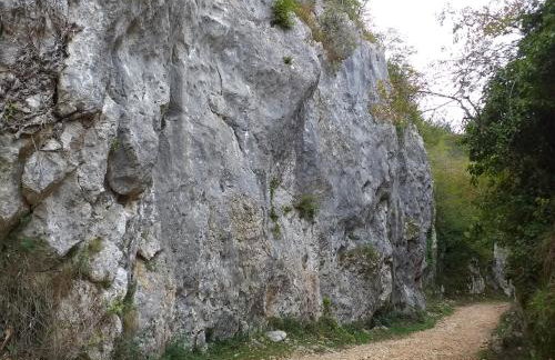 Rural Apartment Carolina - Foto 34