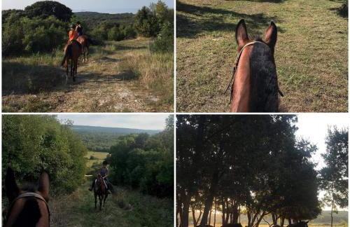 Villa Patrick-Luxury stone house in the center of Istria - Photo 59