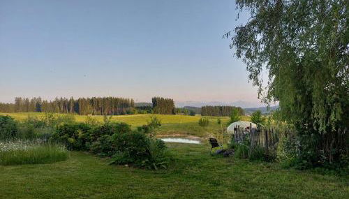 Krottenhill 2 ¼ - Photo 2