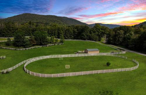 Fantastic Secluded Rental for a Large Group Getaway near East Branch, New York - Photo 39