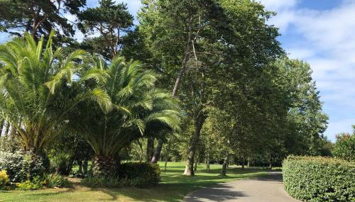 Au coeur de Bordaberry - Foto 4, Garden