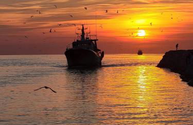 L'ANCRE MARINE - Appartement 2 chambres avec parking proche de la plage - Photo 8