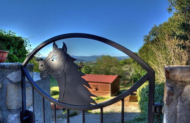 Agriturismo Poggio del Drago - Photo 35