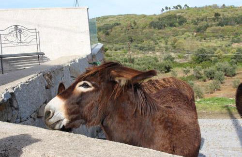 Casas do Aidro - Foto 18