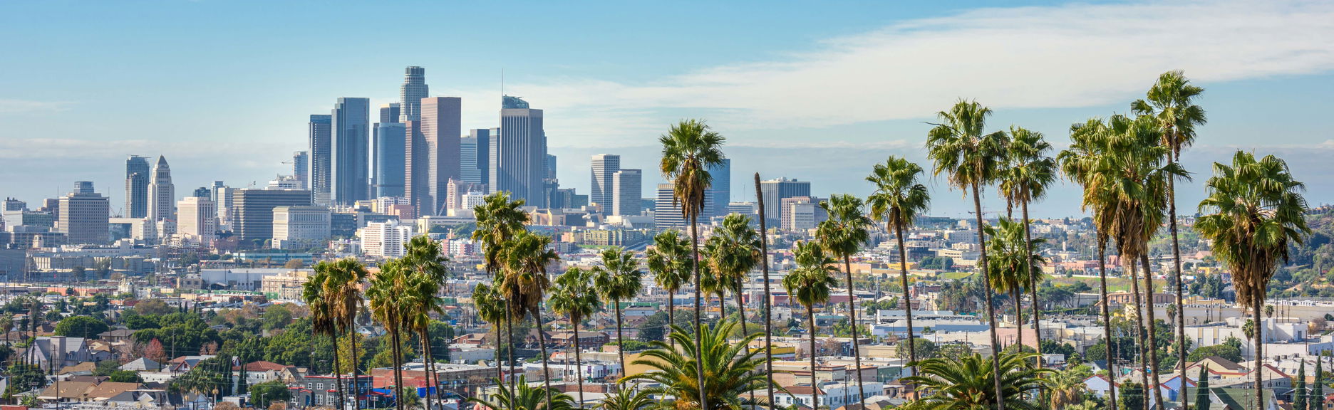 Private Tour of Los Angeles