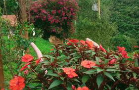 Bangalô Sonho na Serra - Foto 42