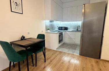 Apartament ŻELAZNY HGS Home - Foto 6