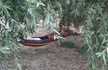 Country house with view on Syracusae gulf - Foto 17