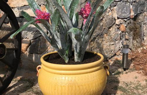 Casal das Nogueiras, casas rurais de charme agradáveis e acolhedoras - Foto 45