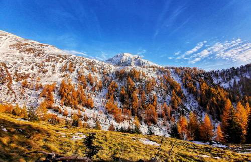 Casa Bagatin - Photo 54