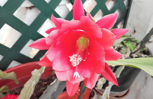 Cozy house with garden in Messines 149 m² mountain view - Foto 22