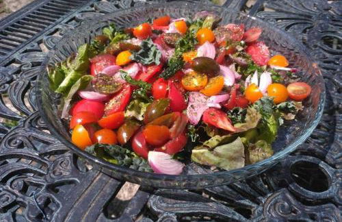 Casa da Labaceira - Foto 37