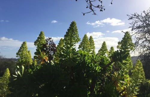 Attractive Portuguese Farm With Modern Decoration - Foto 57