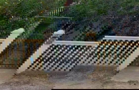 Lovely 1-bed Apartment in Komiza Island of vis - Foto 8