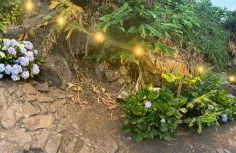 Vistalinda Cabins - Foto 22