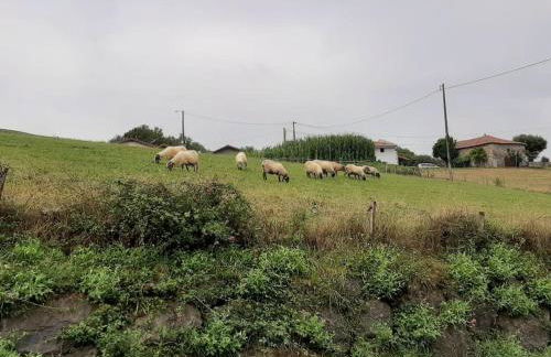 La casa de Arantza con jardin y wifi - Foto 36