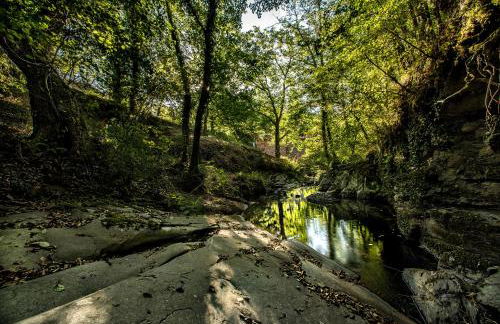 il Friscello - Foto 15