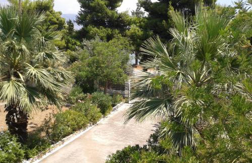 Elea Guesthouse - Photo 47