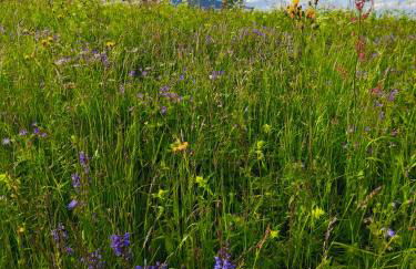 Appartamento Ciclamino - Foto 42