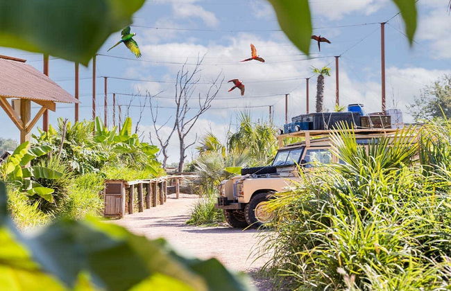 Biglietti per Parrot World - Foto 7