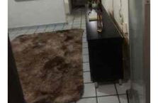 Apartamento para alugar são João campina grande - Foto 5