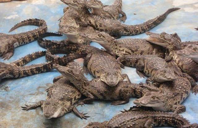 Visita al centro Wotoch Aayin - Foto 5