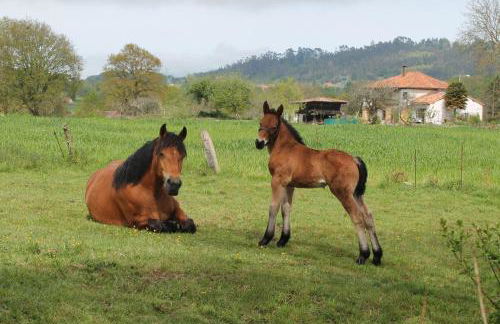 Casa de Aldea en el concejo de Nava, en el centro de Asturias - Foto 36