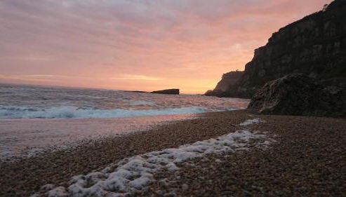 Pura vida Estaño - Foto 4