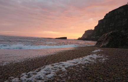 Pura vida Estaño - Foto 4