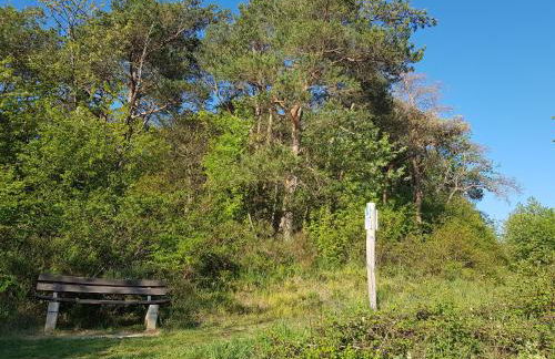 Ferienapartment im Augustinus Park - Foto 15