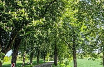 Holiday Home Eschengrund by Interhome - Foto 21