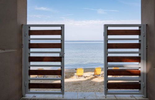 Ktima Papaoikonomou 2 - Foto 79