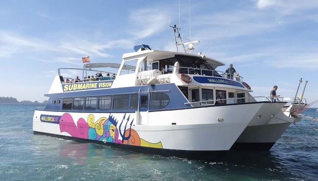 Observation de dauphins au sud de Majorque - Photo 2