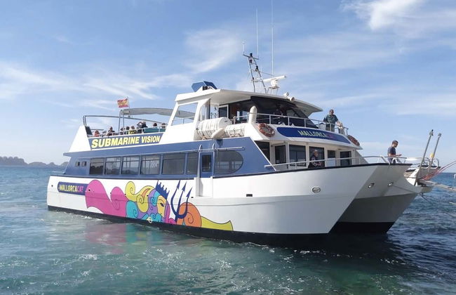 Observation de dauphins au sud de Majorque - Photo 2