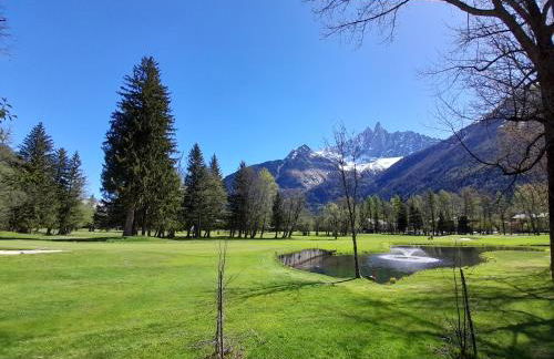 Chalet Lily by Brennus Chamonix - Photo 19